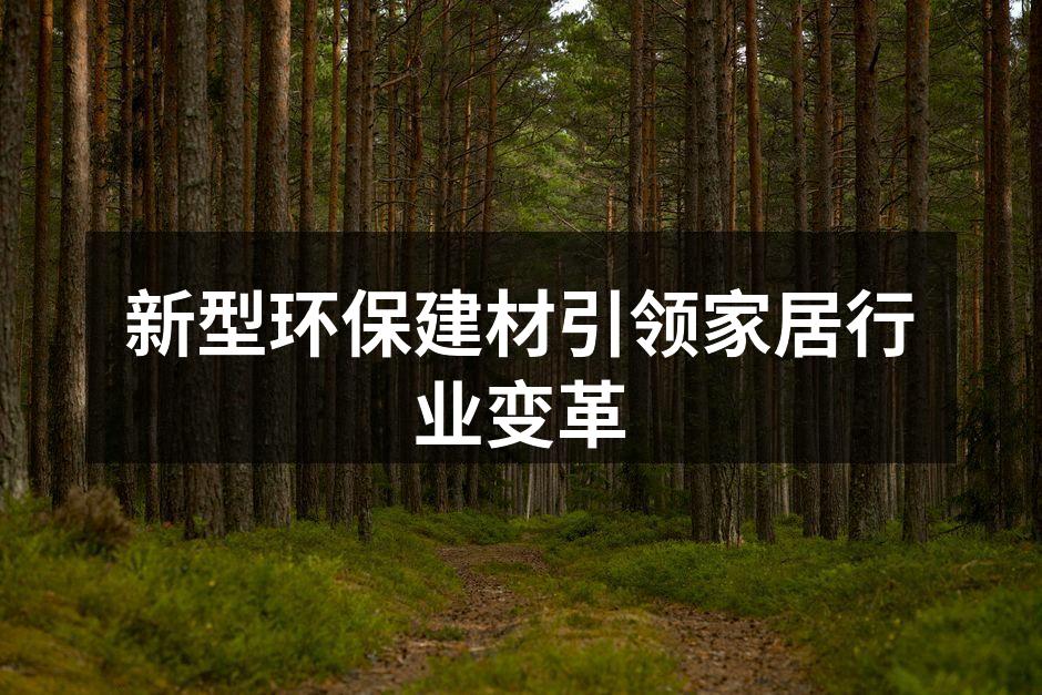 新型环保建材引领家居行业变革